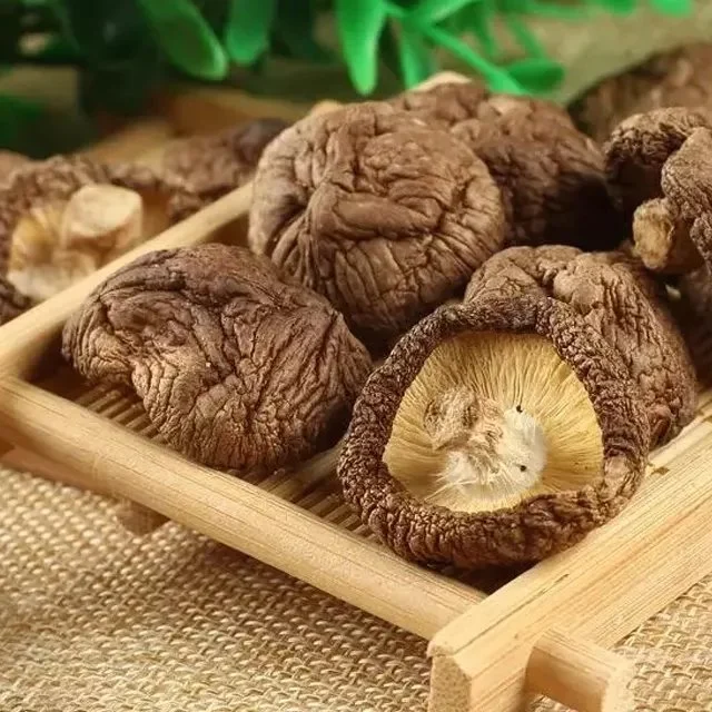 Venta caliente Rendimiento de alta calidad/alto costo secado orgánico Shiitake setas