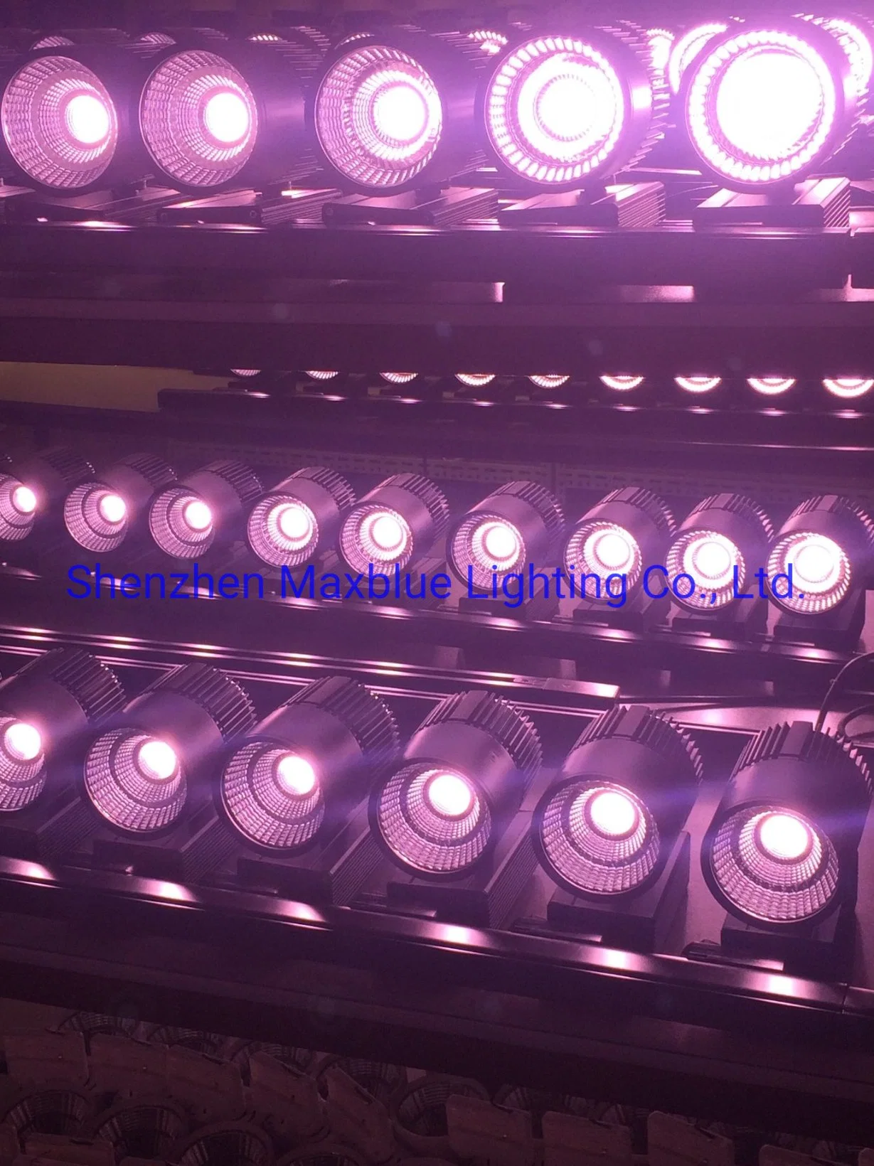 30W Fresh Color LED Track Light for Meat/Fish/Bread/Vegatable