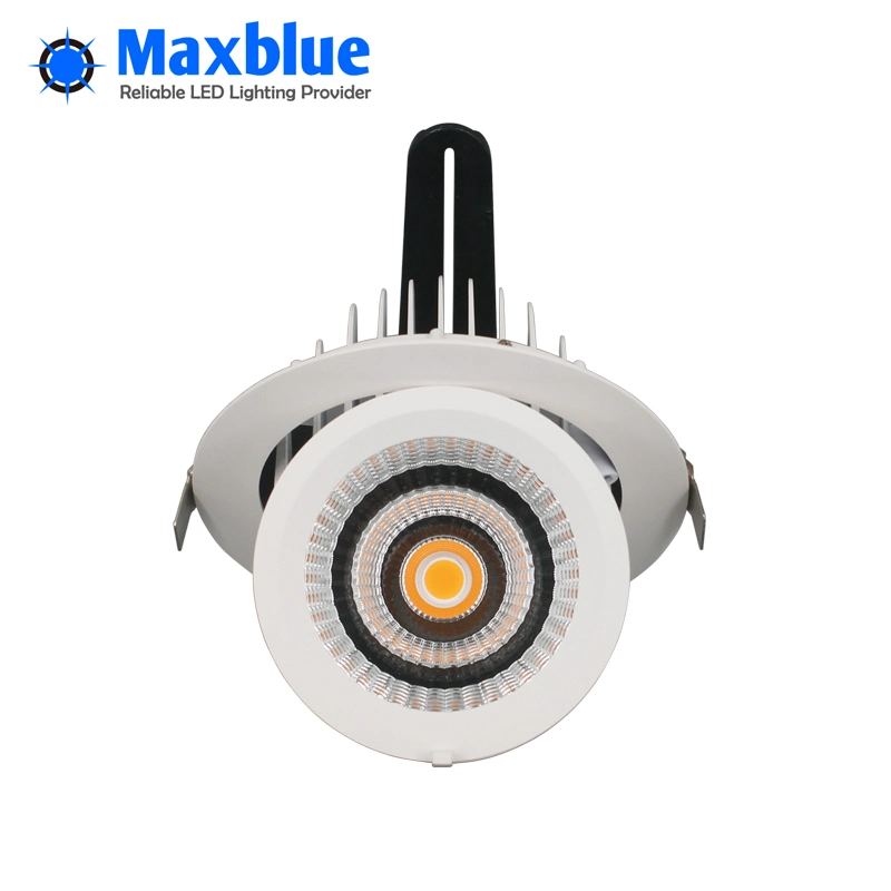 20W/30W/40W LED Gimbal Swivel Trunk Downlight LED Ceiling Light