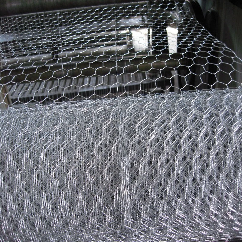 Galvanised Steel Wire Netting Roll