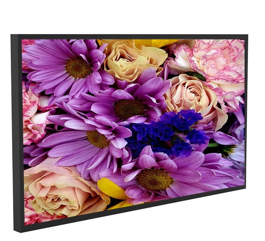 22 Inch LCD Panel Display Indoor Video Loop Screen Digital Signage for Advertising Equipment for Shop Wall Mount