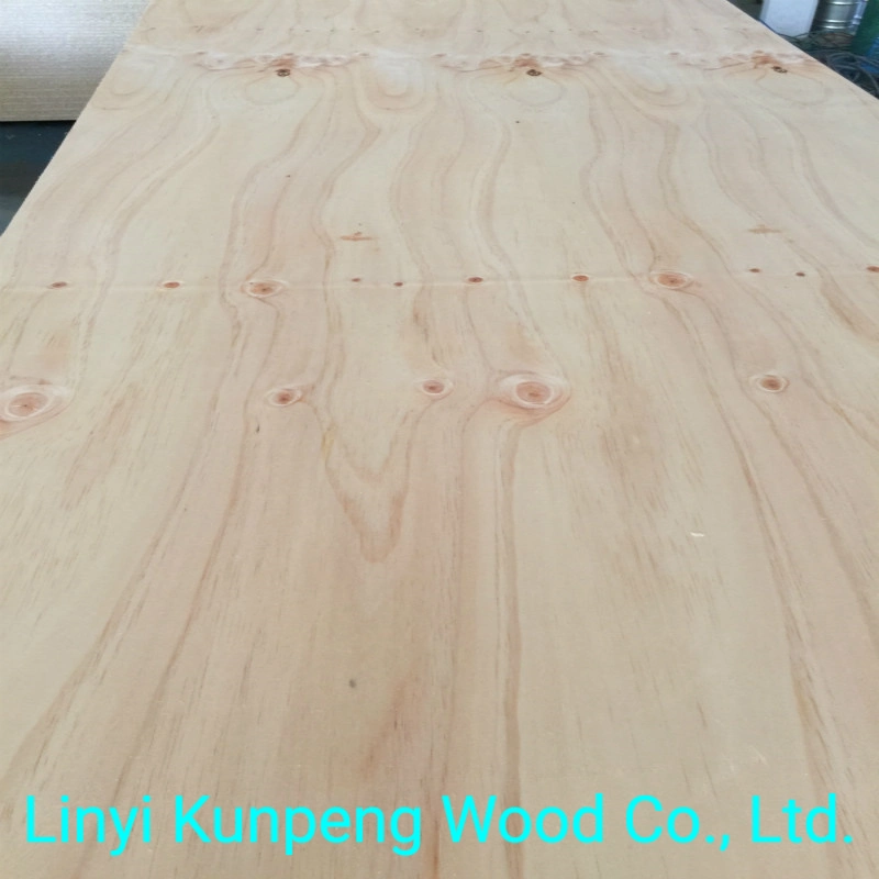 CD Grade Pine Plywood with Poplar Core