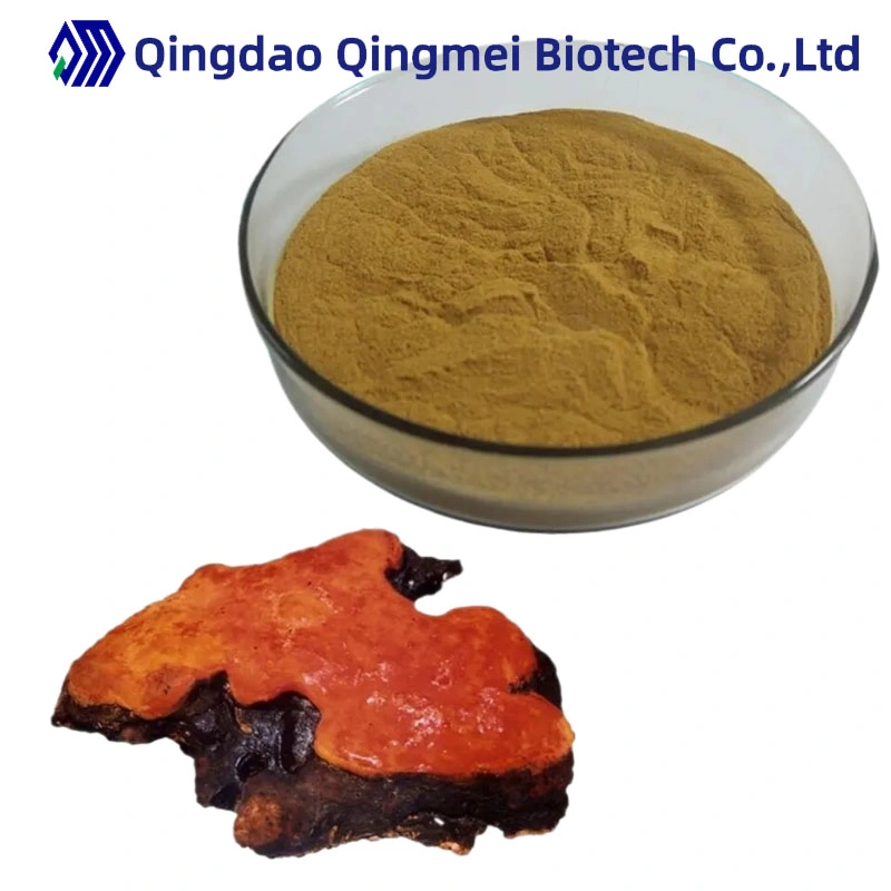 Antrodia Camphorata Extract Polysaccharides10%-50% Brown Yellow Powder for Hot Sale