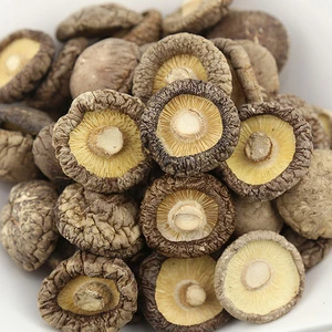 Dried Shiitake Mushroom Whole Wholesale/Supplier