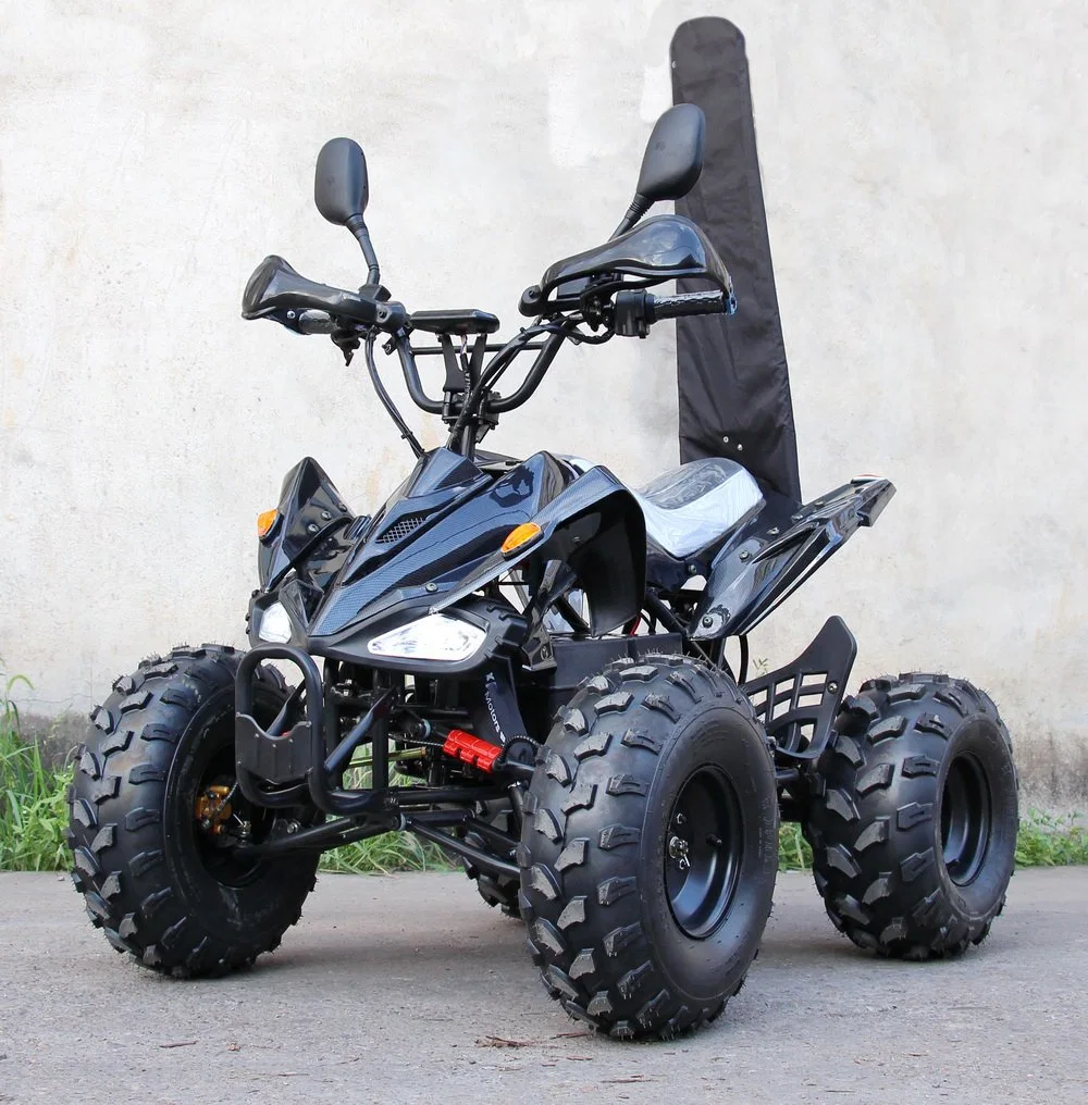 Buggy Eletrico 48V 1000W Quad für Erwachsene mittlere Größe mit Wellenantrieb