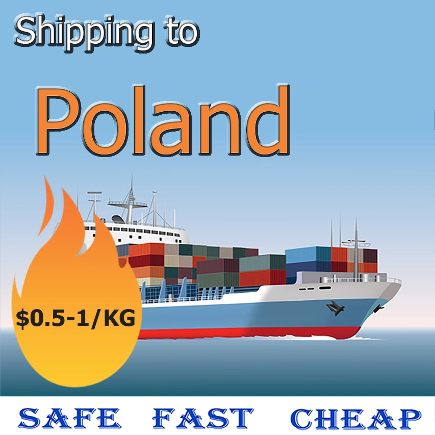 Servicio de Envío de carga de Mar de Transportista de carga de China a Polonia