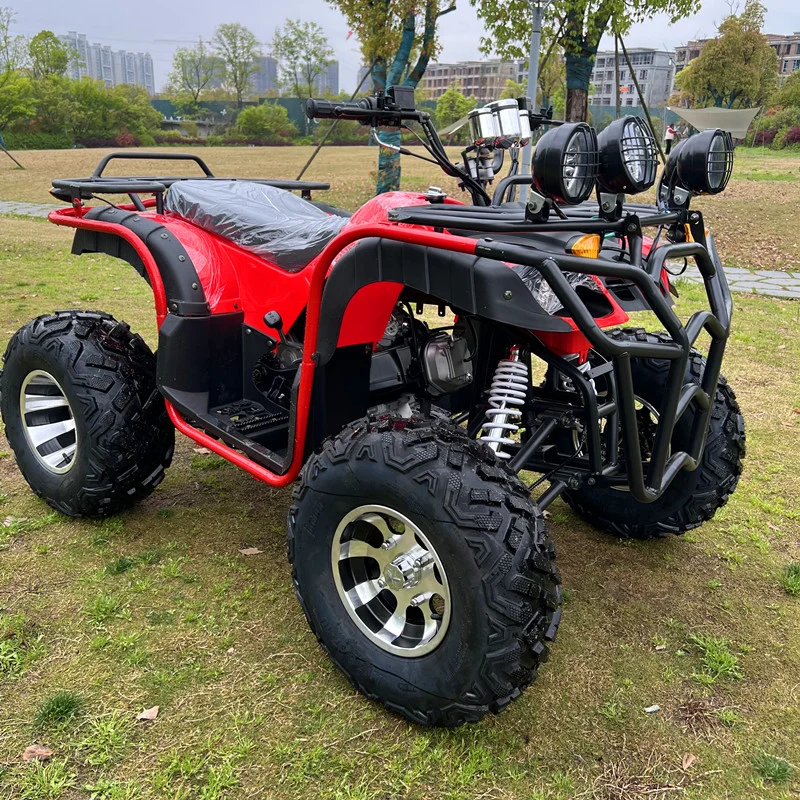 Original Factory Gas Powered Gy6-250cc for Adults Auto ATV