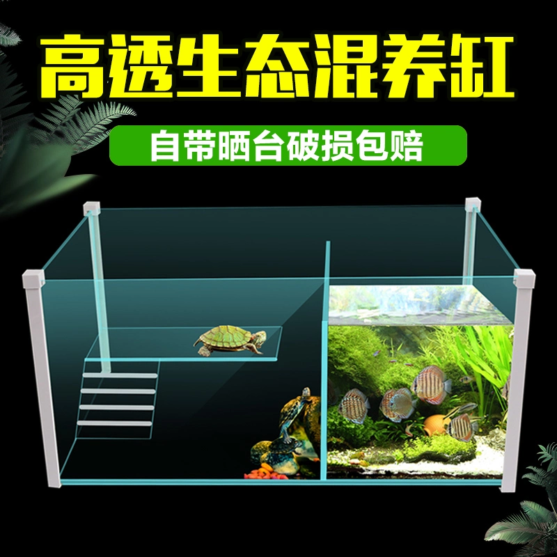 Nomoy Pet Hot Selling Hochwertige Bruchsichere Transparente Glas New Fish Schildkrötenpanzer