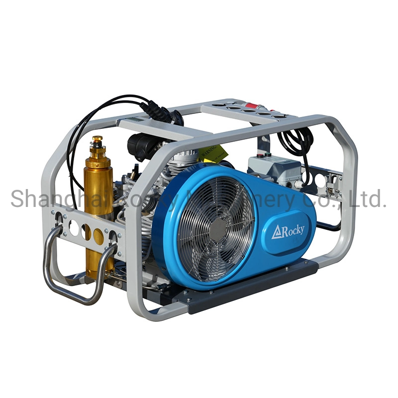 4500 Psi Portable Scuba Diving 30MPa 300bar High Pressure Breathing Air Compressor