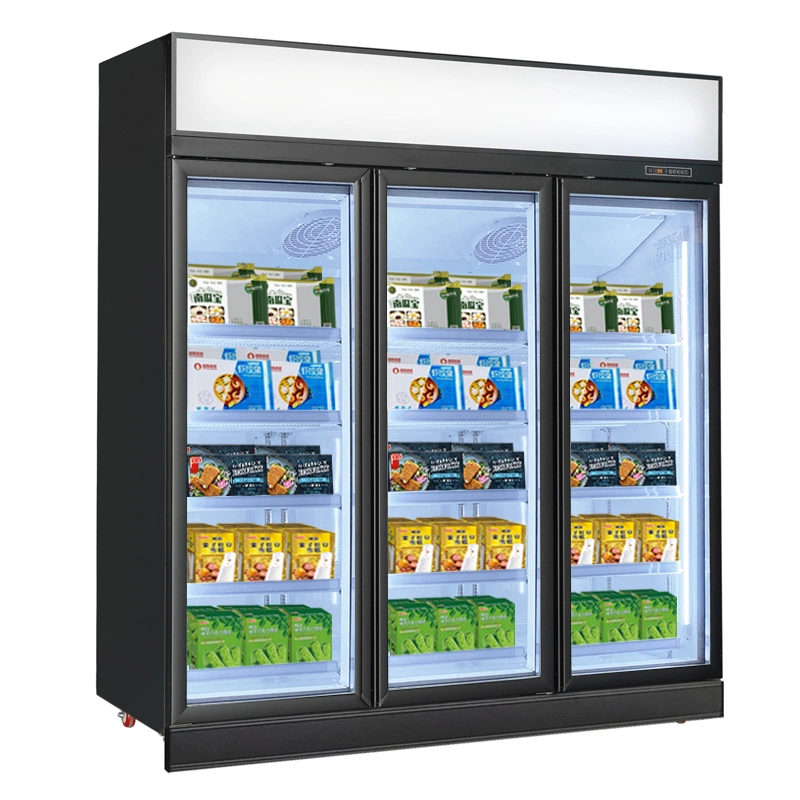 Supermarket R290 Food Display Vertical Deep Freezer