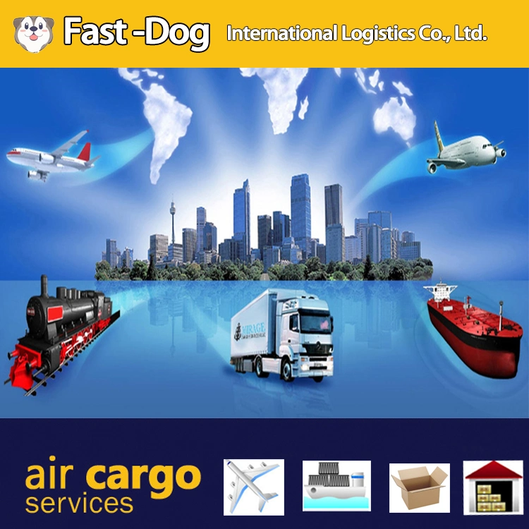 Air DDP Plane Logistics Freight Forwender de Shanghai China a. SUECIA Suiza Ucrania Italia Puerta a Puerta