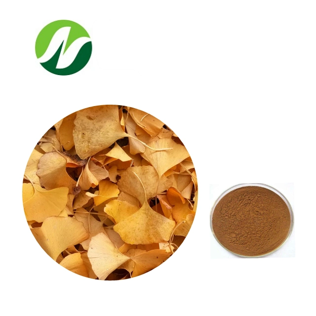 High Quality 24% Ginkgo-Flavone Glycosides 6% Terpenone Lactones Ginkgo Biloba Extract