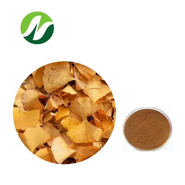 High quality/High cost performance  24% Ginkgo-Flavone Glycosides 6% Terpenone Lactones Ginkgo Biloba Extract