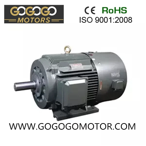 Y2 Series Cast Iron Housing Three Phase AC Electric Motors