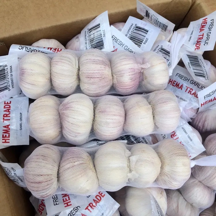 4.5cm 5.0cm 5.5cm 6.0cm 10kg Carton Normal White Fresh Garlic Price