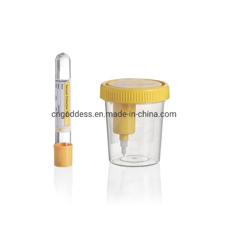 Clean Urine Cup 30/40/60/90/120ml with a Collection Tube PP Vacuum Urine Container for Hospital