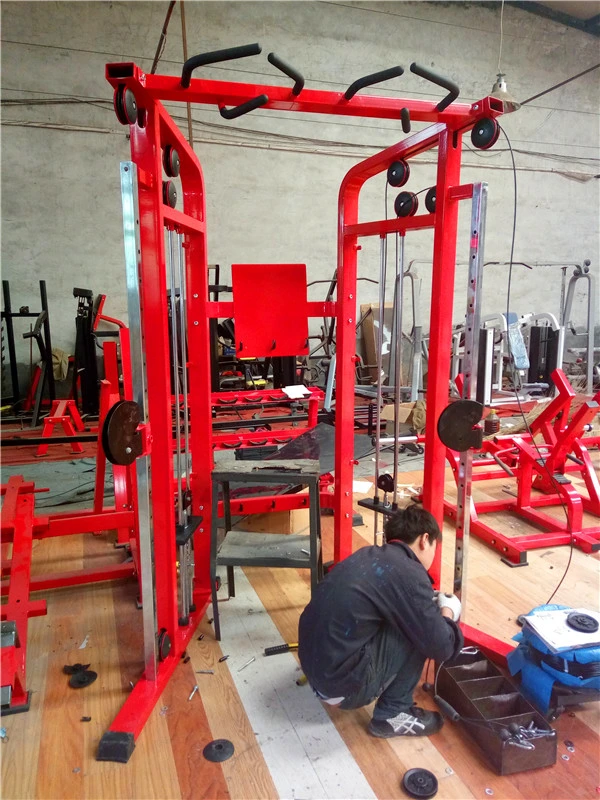 Fitness Equipment /Commercial Use Dual Pulley System