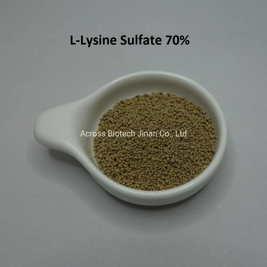 L Lysine HCl 98.5% and Lysine Sulphate 70% of Eppen/Golden Corn/Meihua Brands