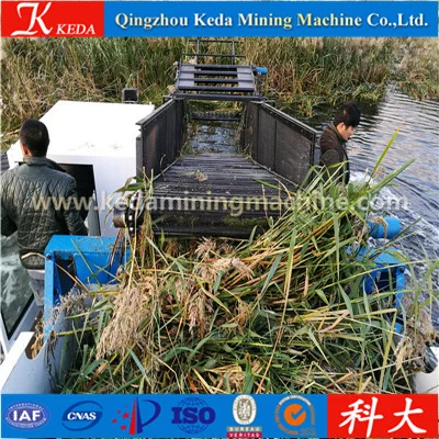 River Lake Ocean Floating Garbage Water Weed Cleaning Ship Cleaning Boat