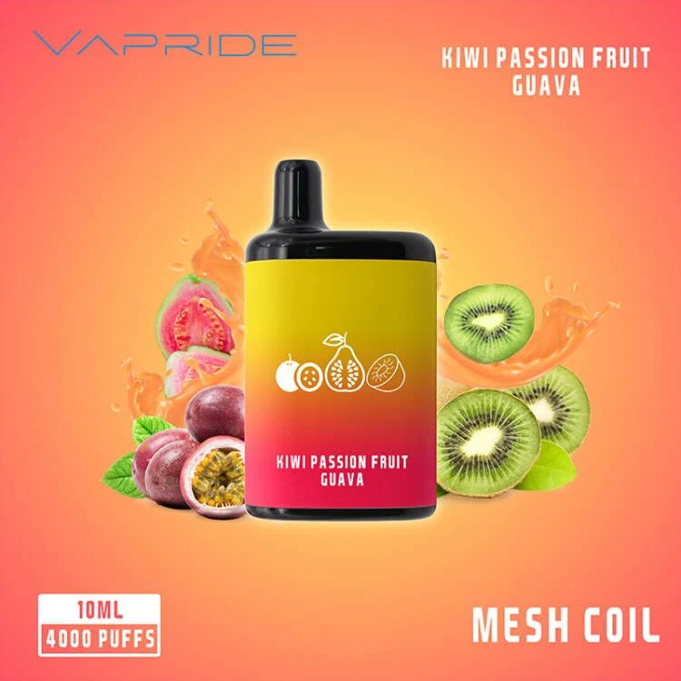 2023 Market New Trend 2000/4000/5000puffs Original Mesh Coil Disposable/Chargeable Vape Ecig