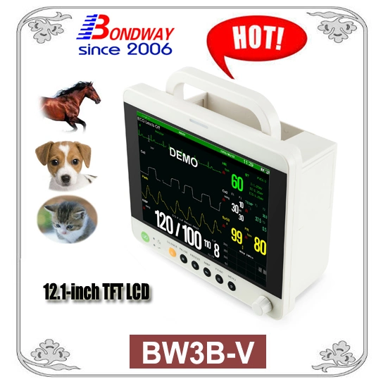 12.1 Inch TFT Large Screen Veterinary Patient Monitor, Veterinary Clinic Instrument, Bw3b-V