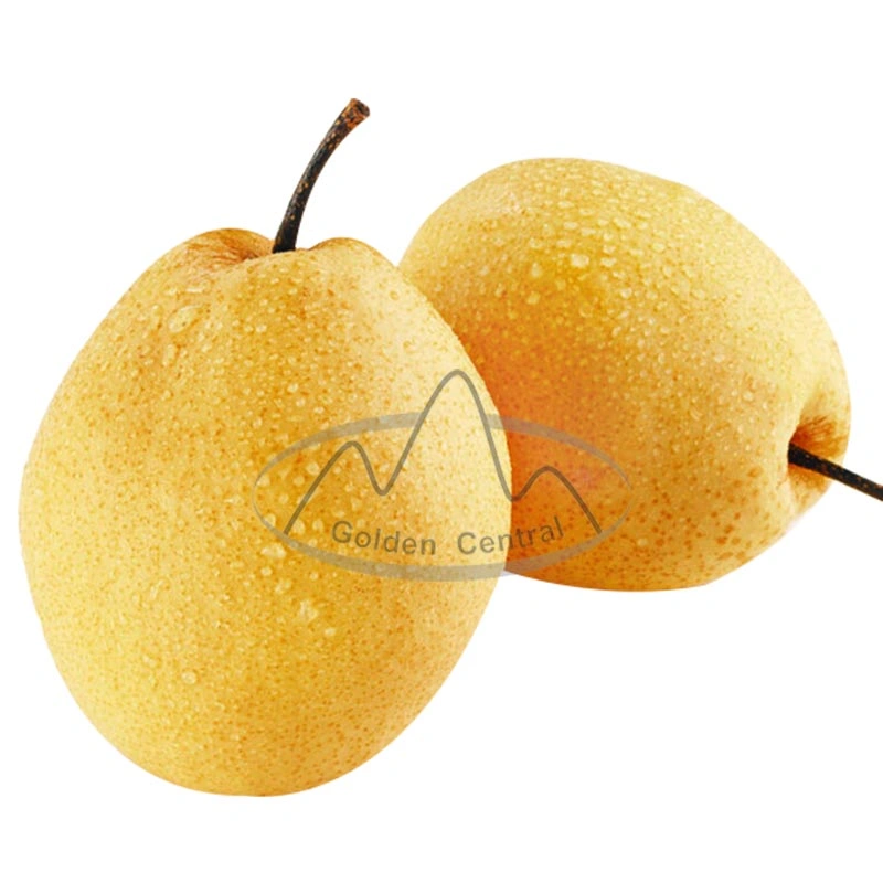 New Crop Best Quality Sweet Ya Pear