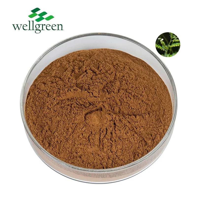 Phyllanthus Emblica Amarus Niruri Powder Manufacturers Mirabilis Plants Underleaf Pearl Extract