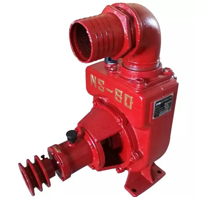 Ns 50 Ns 80 Non Air Pump Packing Seal Self-Priming Water Pump