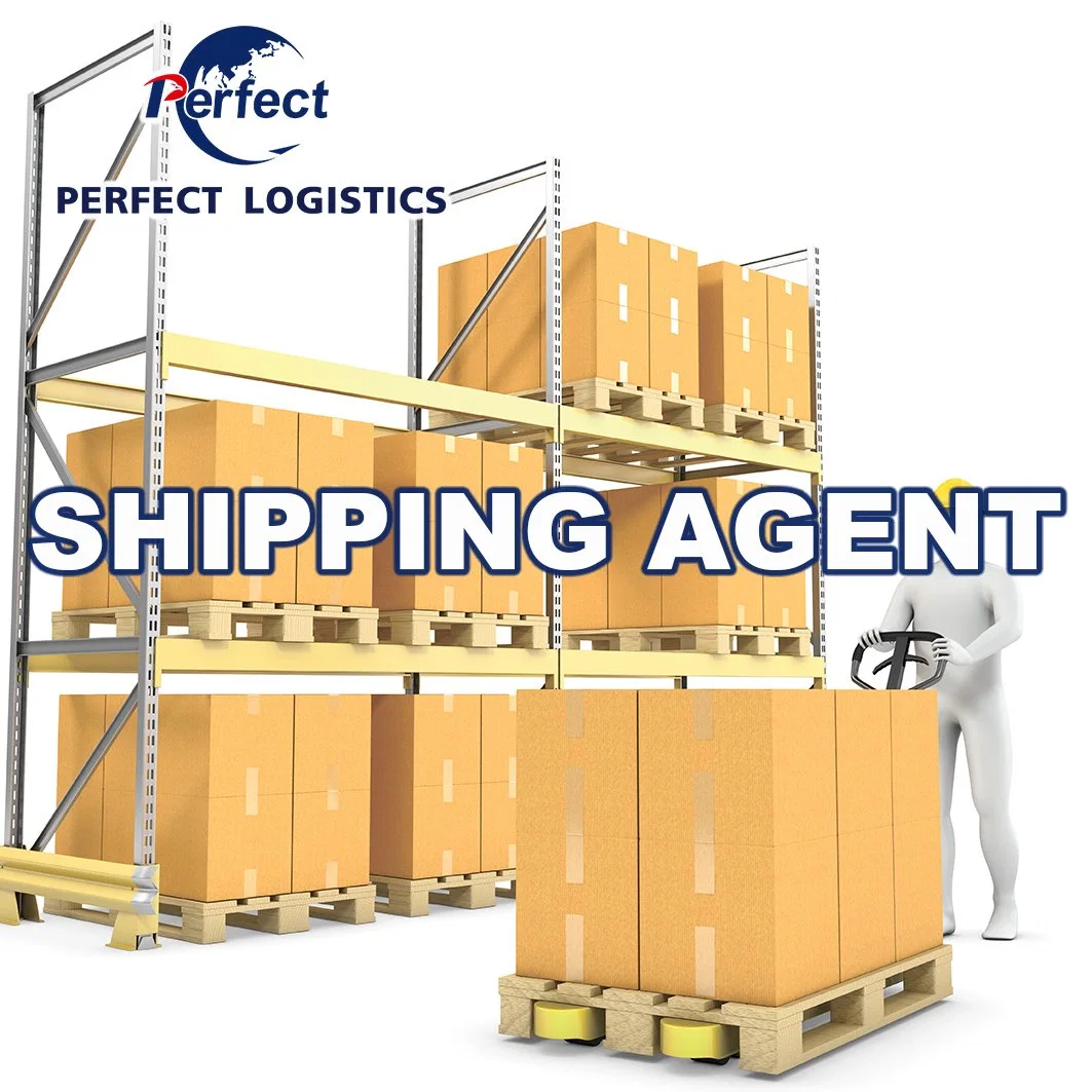 Door to Door Delivery Logistics Services From China to United States/USA/Canada