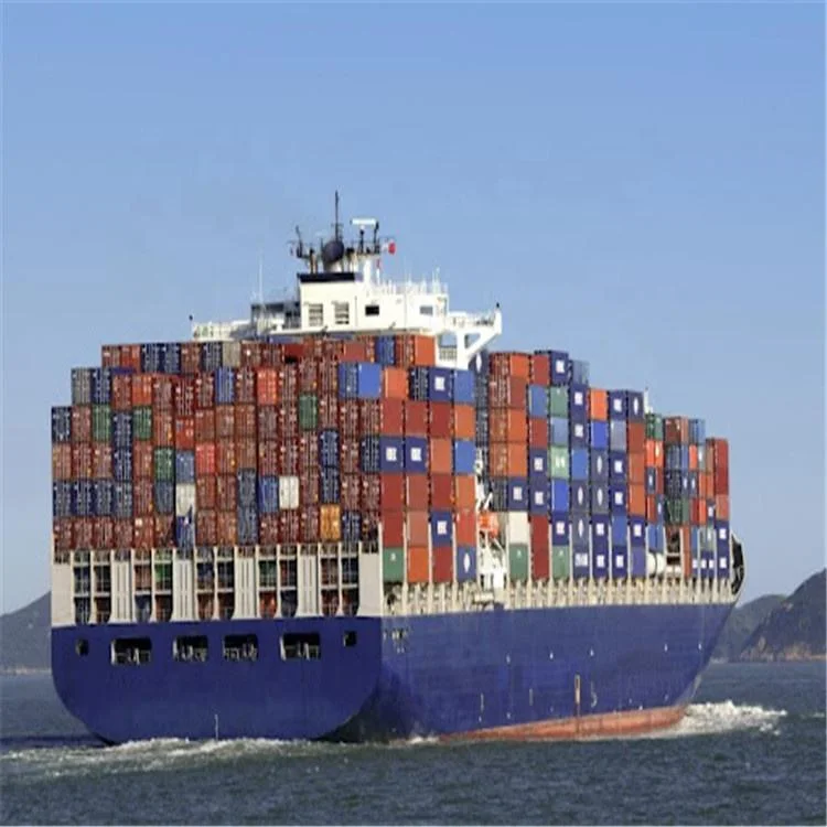 Cheapest Rates Logistics Agent Fba DDP Sea Freight Forwarder From China to Europe USA