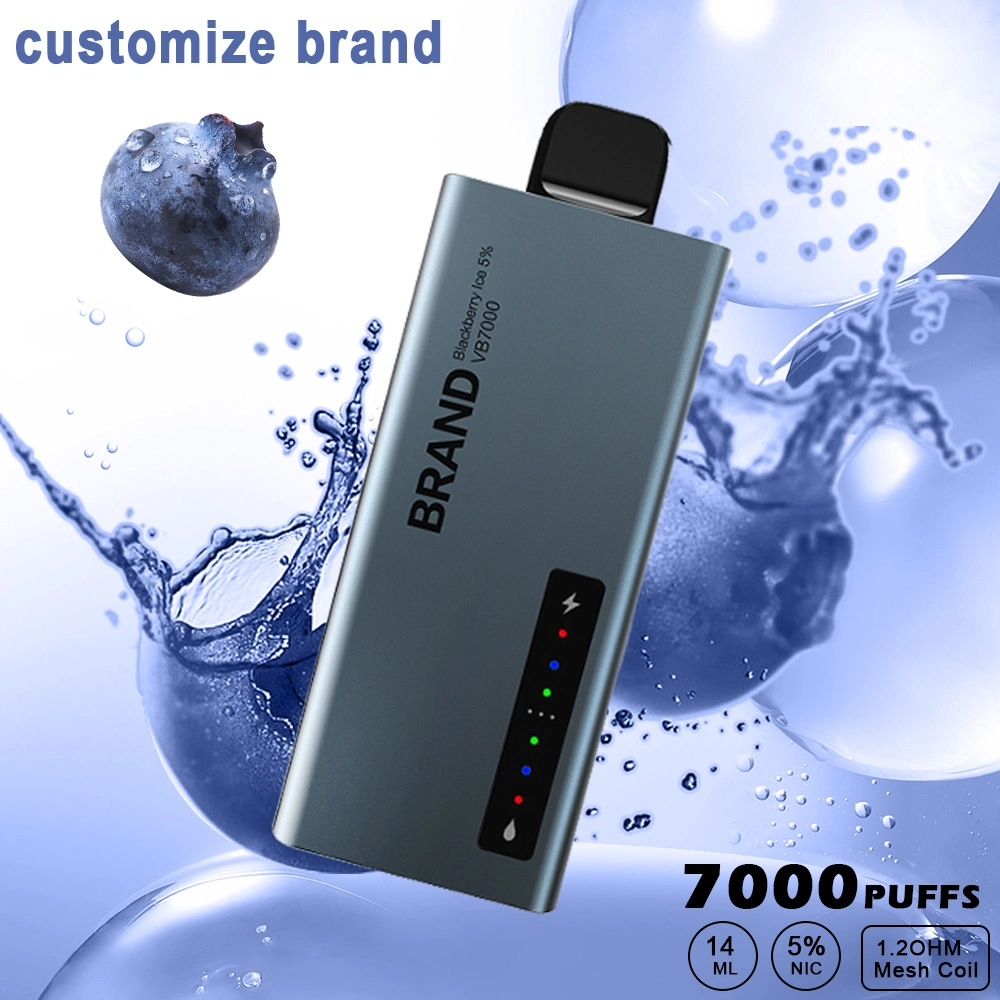 Custom 7000 Puffs Torando portable E-CIG appareil de fumeurs électroniques jetables Cigarette VAPE