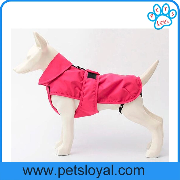 Norma amazônica cão de estimação roupas Acessórios Pet