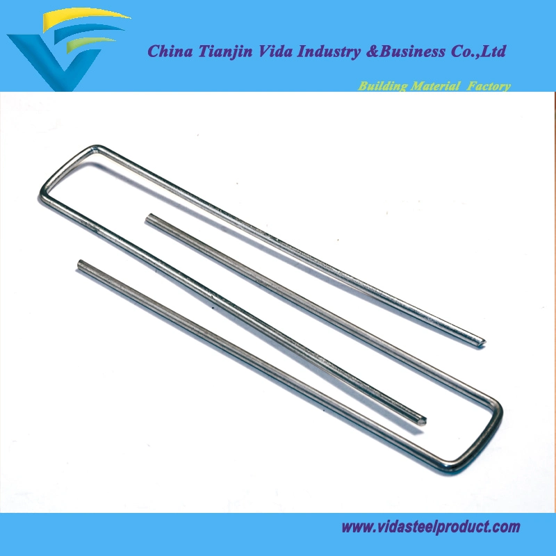 Polished/Galvanized SOD Staple Nails Factory Manufacturer