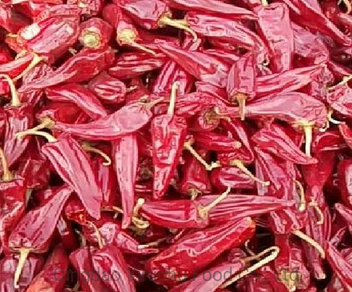 Factory Direct Sales of High-Quality Beijing Red Chilli