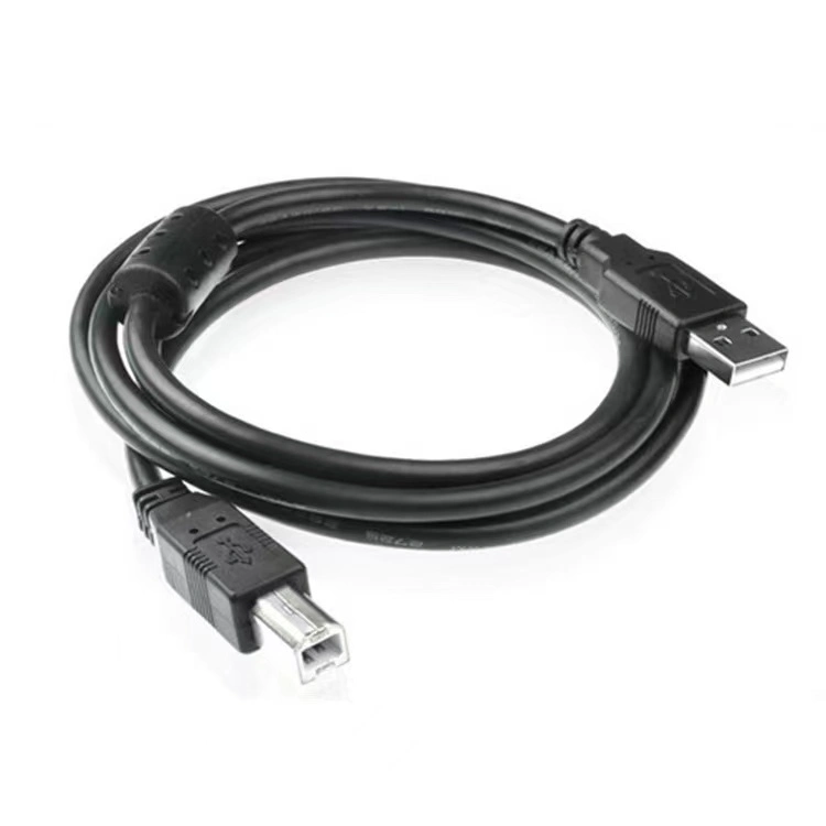 Drucker USB2.0 USB-Kabel der Qualitäts-6FT