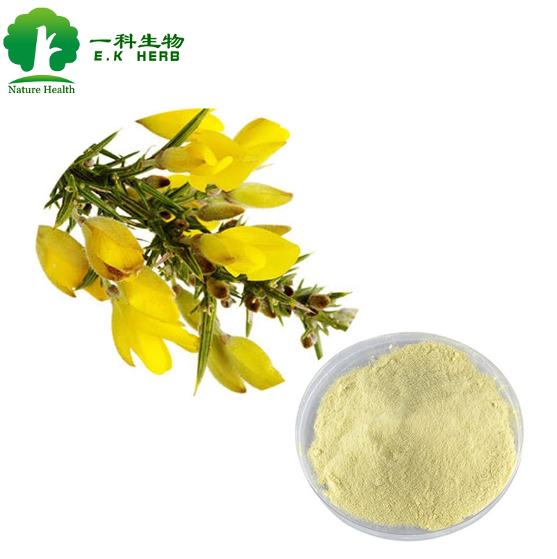 E. K Herb Plant Extract Factory Supply Free Sample Quercetin Genistein Sophoricoside Kaempferol CAS 520-18-3 Natural Kaempferia Sophora Japonica Extract