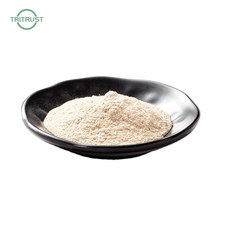 Natural Organic Natto Extract with CAS 133876-92-3 5000fu/G Soybean Extract Nattokinase