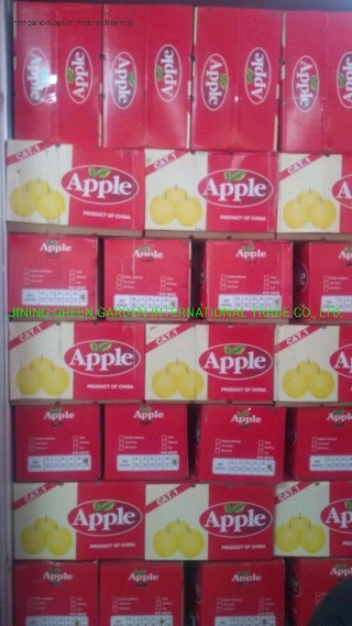 High quality/High cost performance Hot Sale Good Taste Fresh Apple Cheap Apple Fruit Price