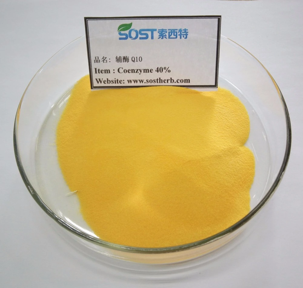 Water Soluble Coenzyme Q10 98% Ubiquinol, Bulk Coenzyme Q10