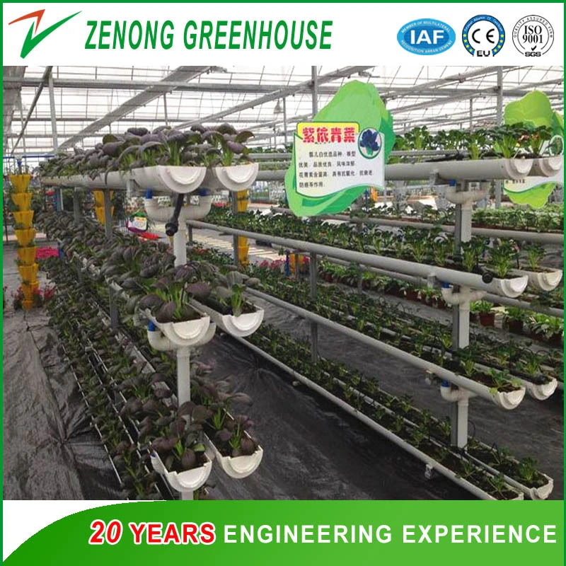 Agriculture Polycarbonate Greenhouse Hydroponics System