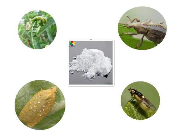 Wholesale/Supplier Factory Sale Insecticide Thiocyclam 50%Sp for Wholesale/Supplier Price