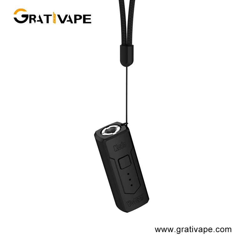 OEM ODM Available Fashionable Battery Last Long Wholesale/Supplier Disposable Ecig