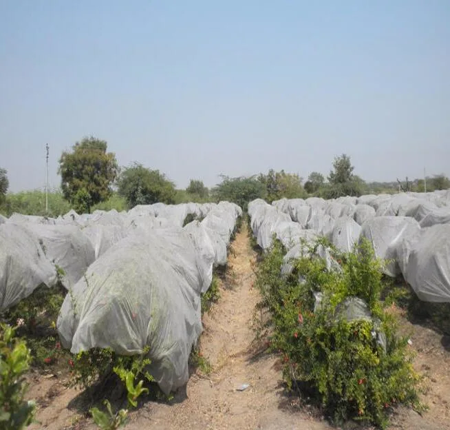 Usine couvre respirante couvercle de cultures en rangs flottante de protection contre le gel le vent de l'hiver de la protection contre les gelées d'insectes tissu non tissé Spunbond