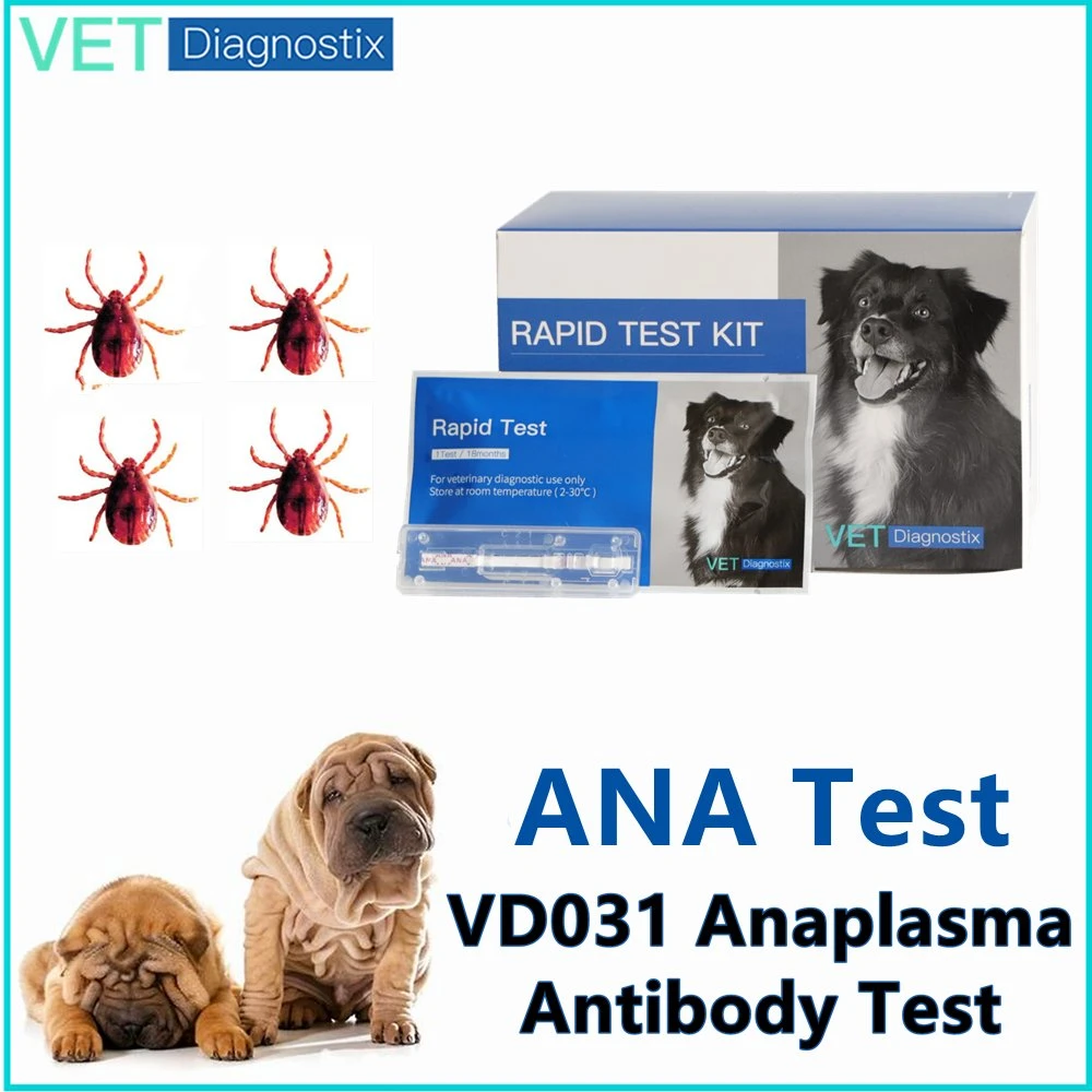 Ana Antibody Rapid Test Canine Anaplasma Antibady Diagnosic Test Kit