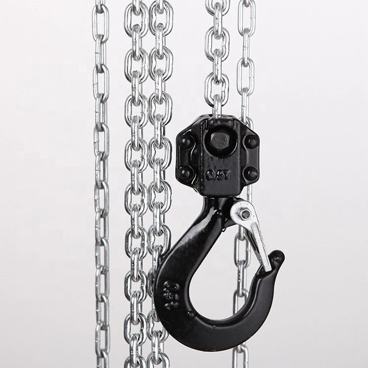 Hot Selling CE Approved 500 Kg Heavy Duty Vital Type Chain Block