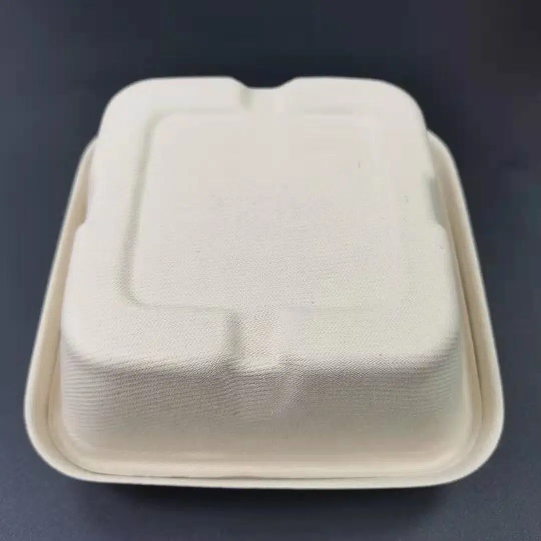 Disposable Eco-Friendly Pulp Burger Bento Cake Dessert Lunch Takeout Packaging Box Container