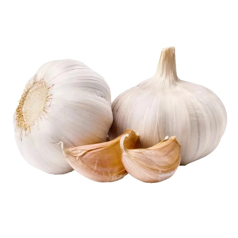 Hot Sale Fresh Garlic/Pure White Garlic/White Garlic/Chinese White Garlic