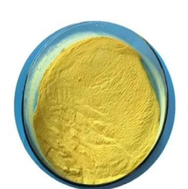 Poly Aluminum Chloride CAS 1327-41-9 with Original Factory Lowest Price