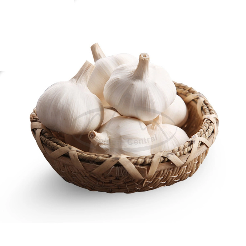 Wholesale/Supplier Fresh Garlic Chinese Supplier Shandong Garlic Fresh Dried White Garlic