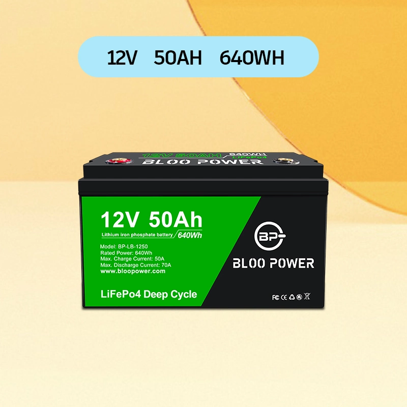 Bloopower Wartung Kostenlose Solarpanel-System Power LiFePO4 für den Außenbereich Plakatwand Indoor Light Box Werbung Familie Backup Lithium Batterie